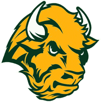 North Dakota State Bison 2005-2011 Alternate Logo 04 iron on paper